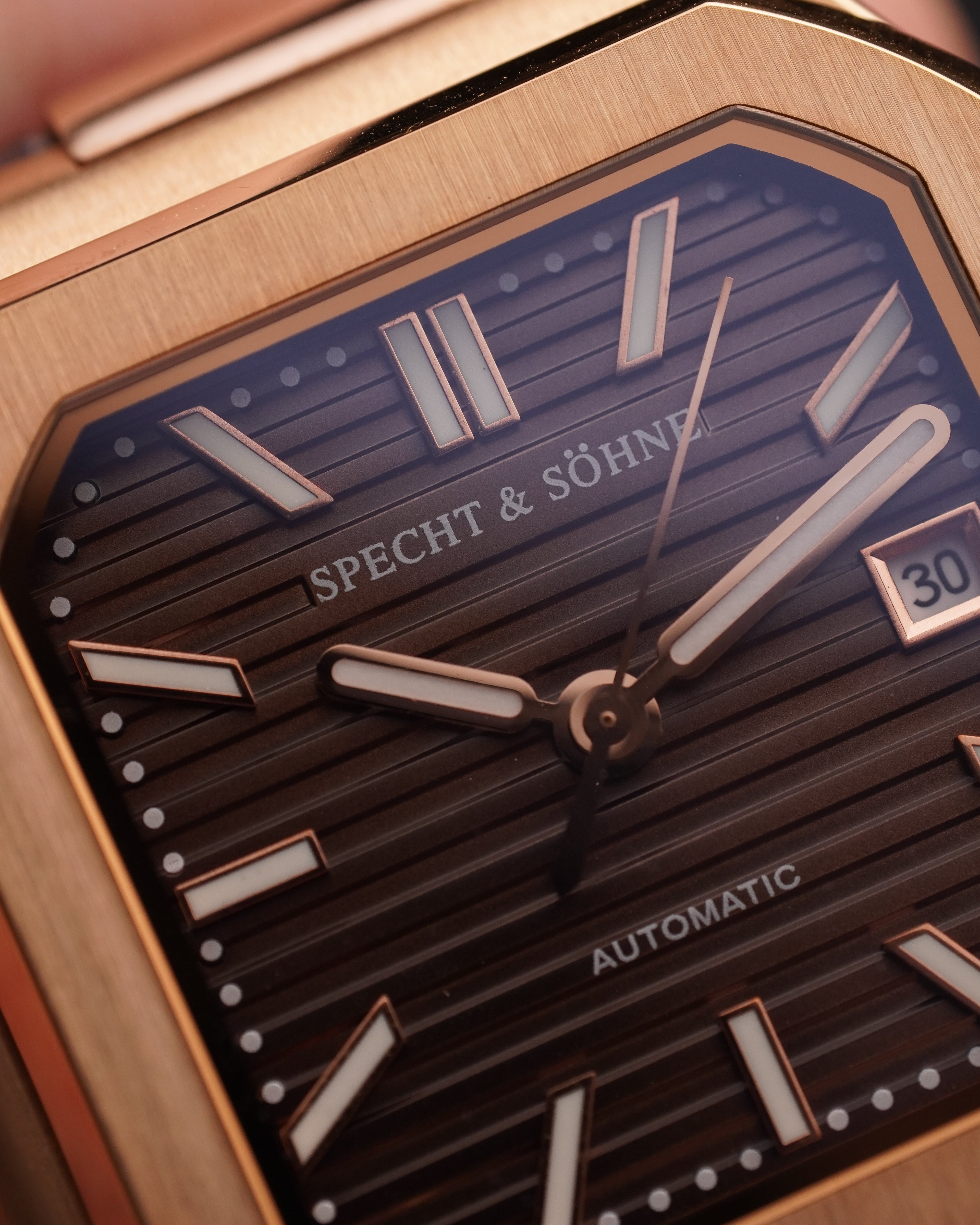 Specht & Söhne SP0028A8-L Automático — Esportivo 41mm, pulseira de couro, vista 3